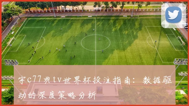 宇c77典tv世界杯投注指南:数据驱动的深度策略分析