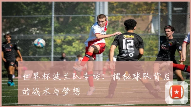 世界杯波兰队专访：揭秘球队背后的战术与梦想