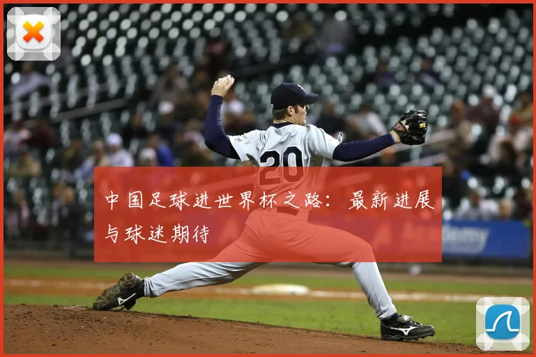 中国足球进世界杯之路:最新进展与球迷期待